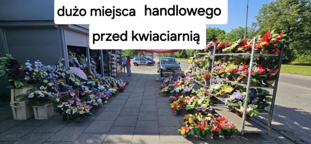 Lokal Łódź Zarzew, ul. Lodowa. Zdjęcie 2