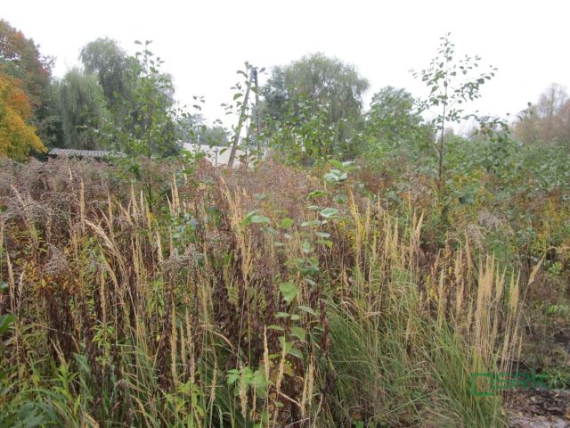 Działka inna Mszana. Zdjęcie 3