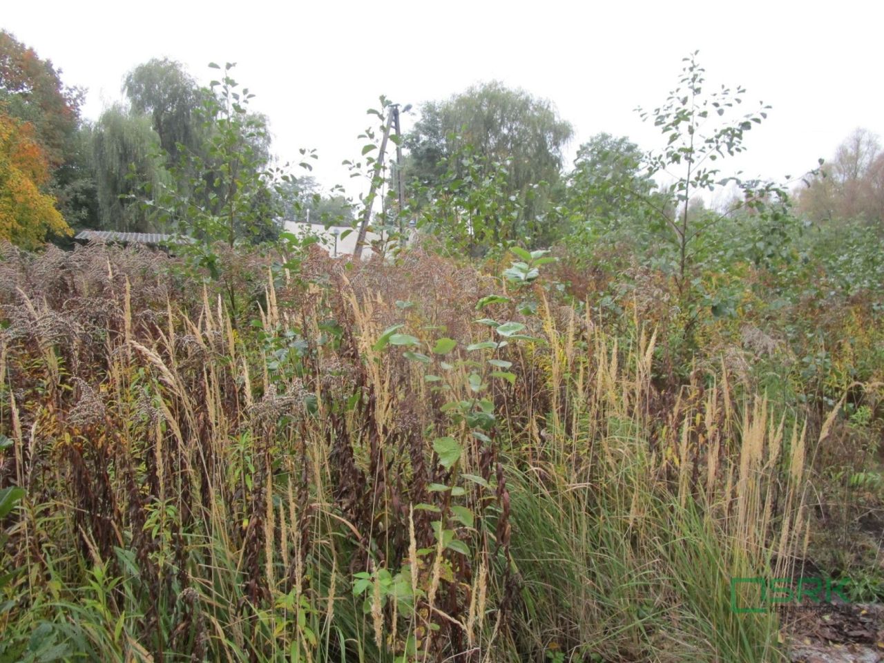 Działka Mszana. Zdjęcie 3