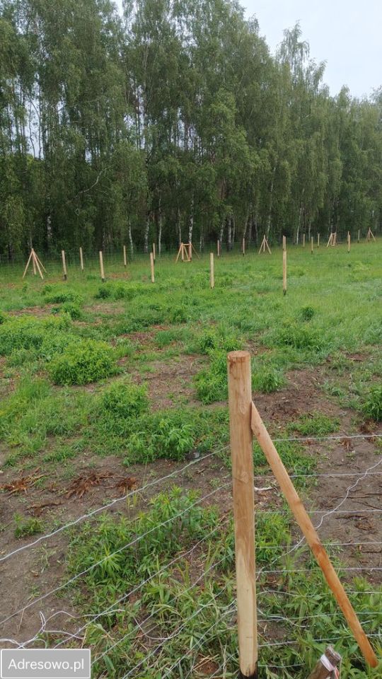 Działka budowlana Siedlec, ul. Przylesie. Zdjęcie 6