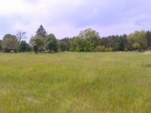 Działka rolna Pieczyska Iłowskie. Zdjęcie 2