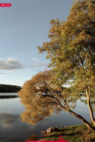 dom wolnostojący, 3 pokoje Przewóz. Zdjęcie 29