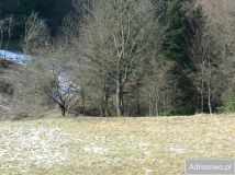 Działka rolna Tabaszowa. Zdjęcie 4