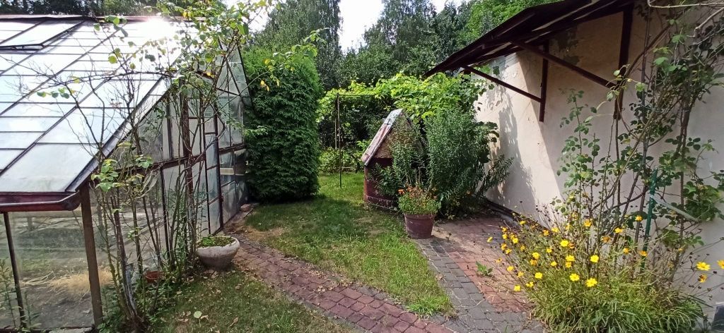 Działka rod Ruda Śląska Wirek. Zdjęcie 4