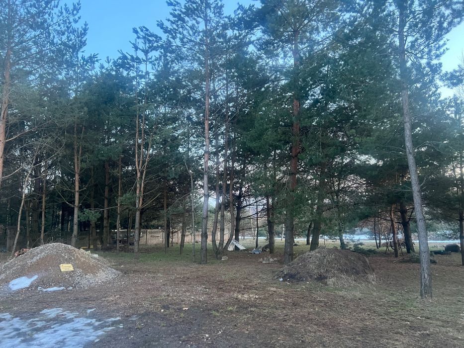 Działka budowlana Janów, ul. Izabeli Łęckiej. Zdjęcie 5