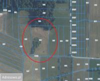 Działka rolno-budowlana Zgrzebichy. Zdjęcie 1