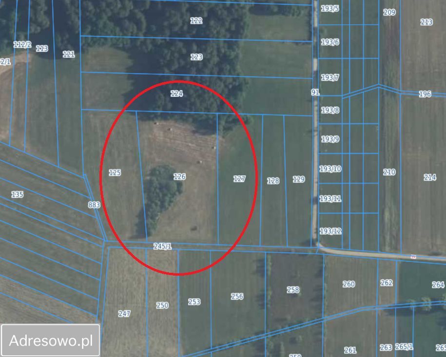 Działka rolno-budowlana Zgrzebichy. Zdjęcie 2