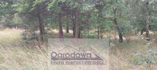 Działka siedliskowa Nowy Kębłów. Zdjęcie 5