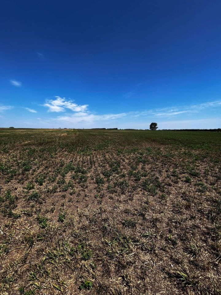 Działka rolno-budowlana Kwik. Zdjęcie 7