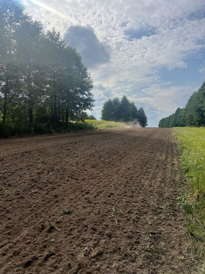 Działka rolna Trzciana. Zdjęcie 5