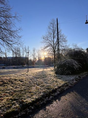 Działka budowlana Mosty. Zdjęcie 1