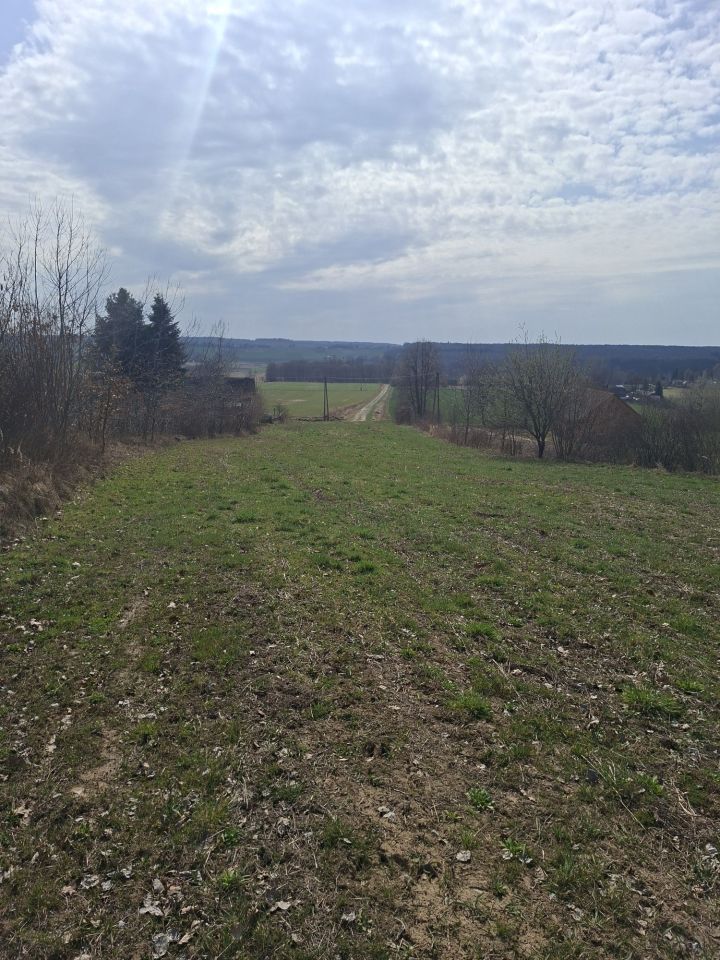 Działka rolna Wojsławice. Zdjęcie 2