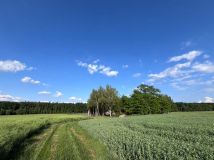 gospodarstwo Zalesie-Lenki. Zdjęcie 1