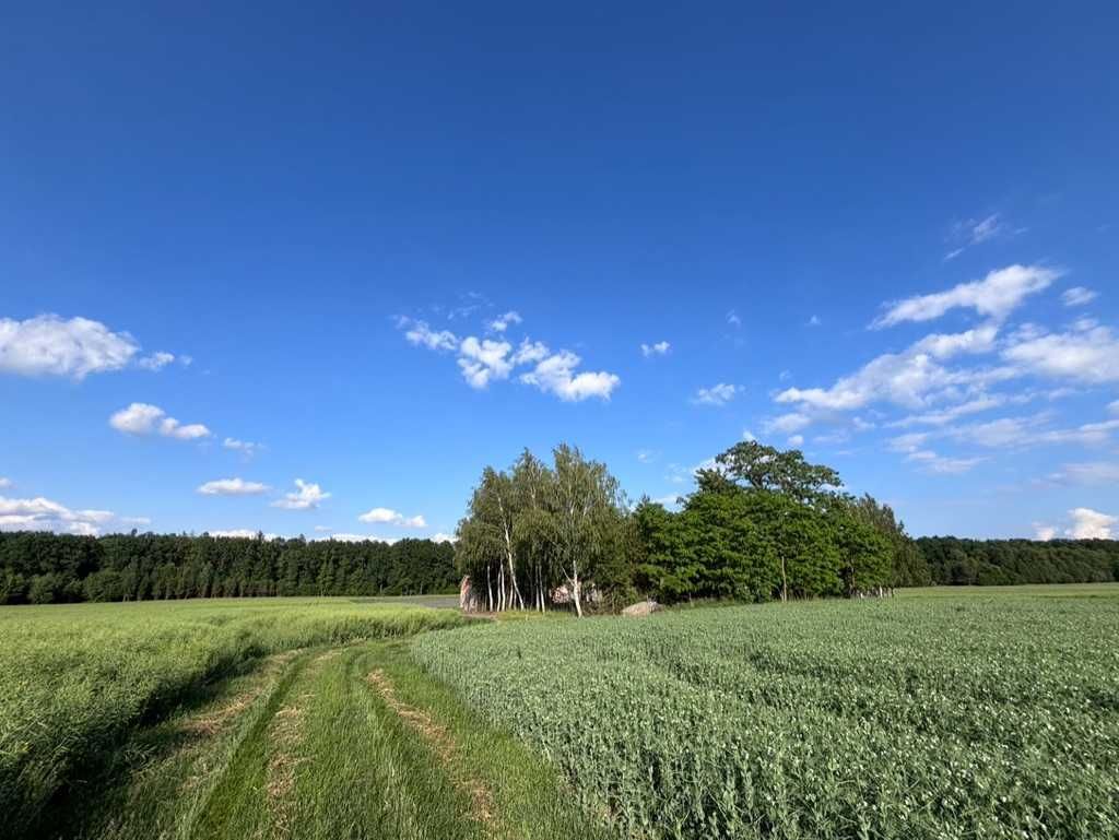 gospodarstwo Zalesie-Lenki. Zdjęcie 2