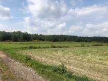 Działka budowlana Przecław, ul. Leśna. Zdjęcie 1