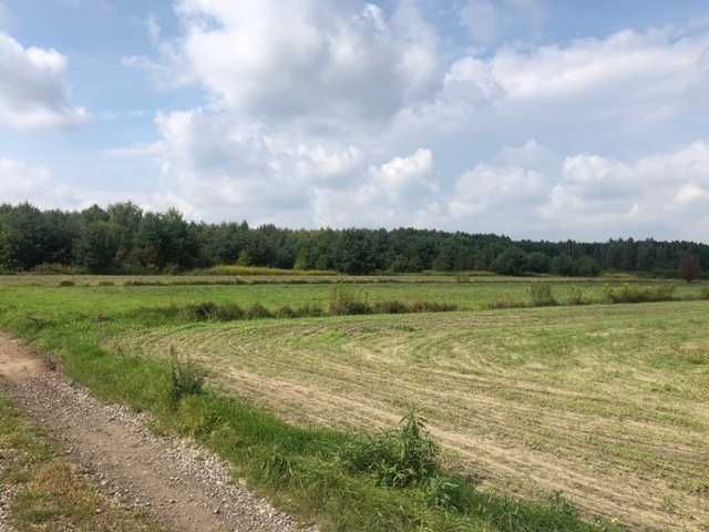 Działka budowlana Przecław, ul. Leśna. Zdjęcie 2