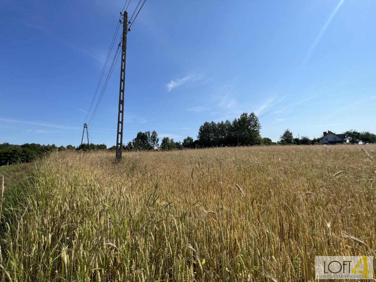 Działka rolno-budowlana Siemiechów. Zdjęcie 10