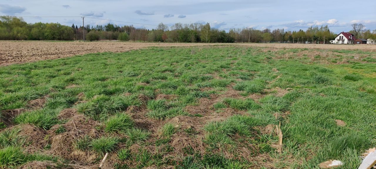 Działka rolno-budowlana Fałkowice. Zdjęcie 5