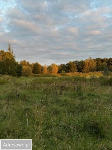 Działka budowlana Strzelce. Zdjęcie 1