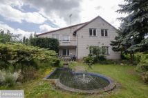 Hala/magazyn Zaścianki, ul. Kasztelańska. Zdjęcie 2