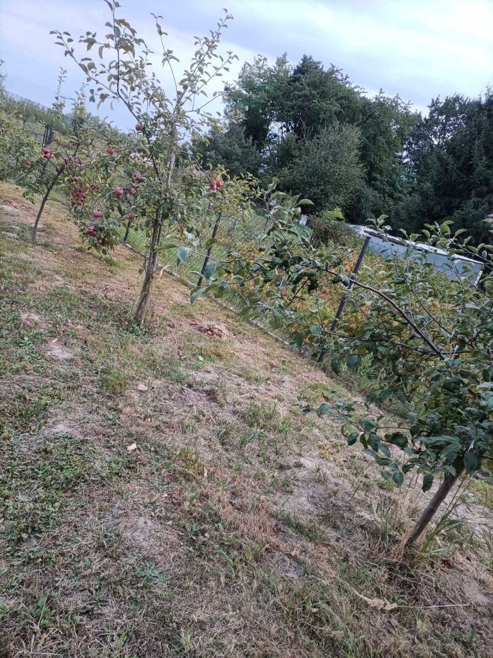 Działka budowlana Kraśnik Zarzecze Pierwsze. Zdjęcie 7