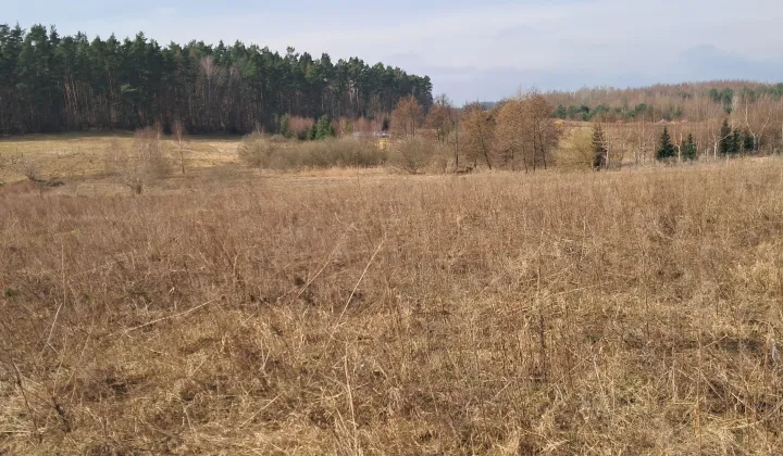 Działka budowlana Kleszczewo, ul. Spacerowa