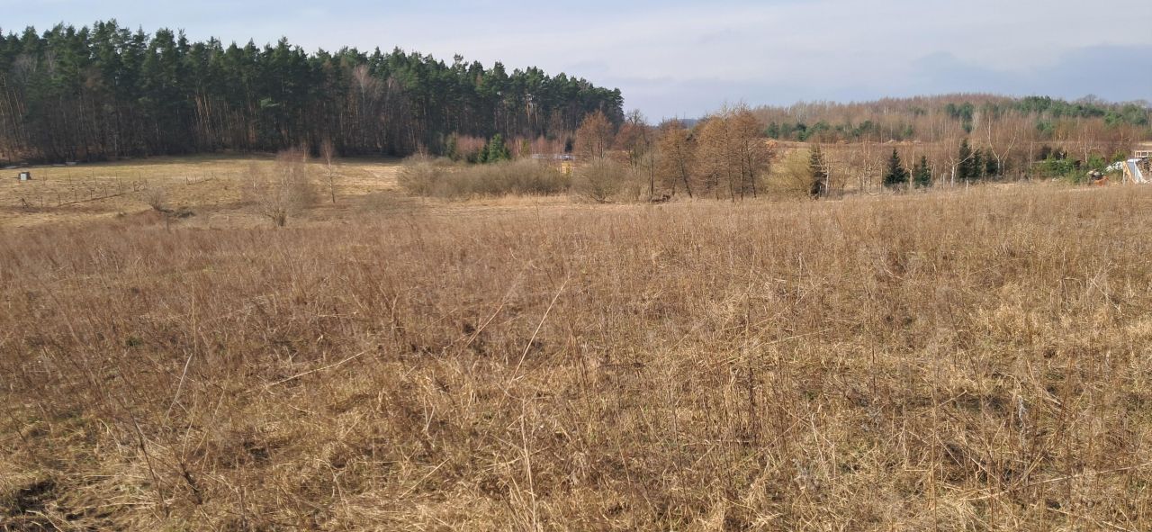 Działka budowlana Kleszczewo, ul. Spacerowa. Zdjęcie 2
