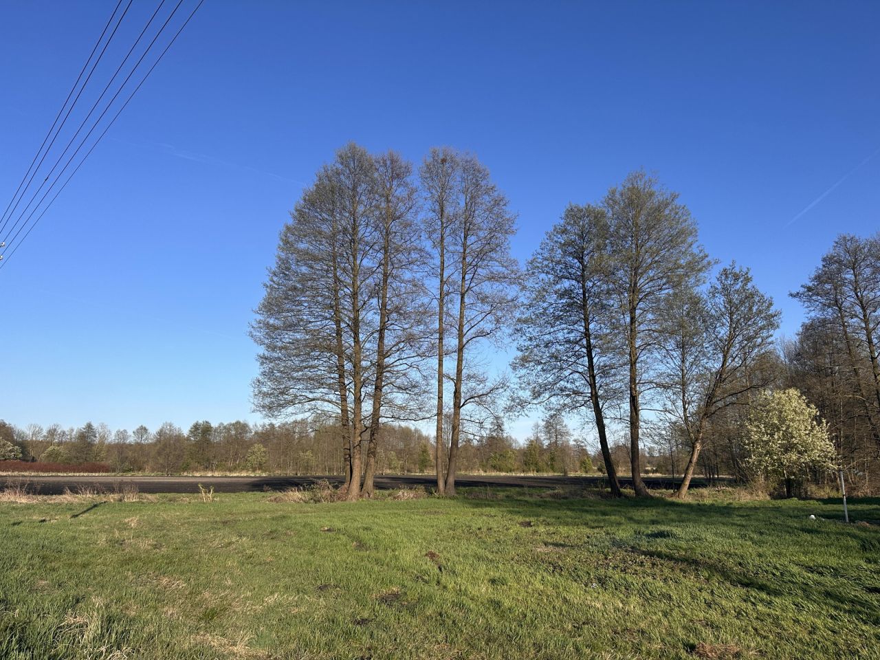 Działka budowlana Baranowice. Zdjęcie 8