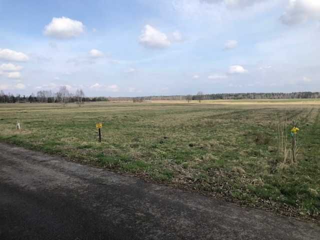 Działka rolno-budowlana Dąbek. Zdjęcie 3