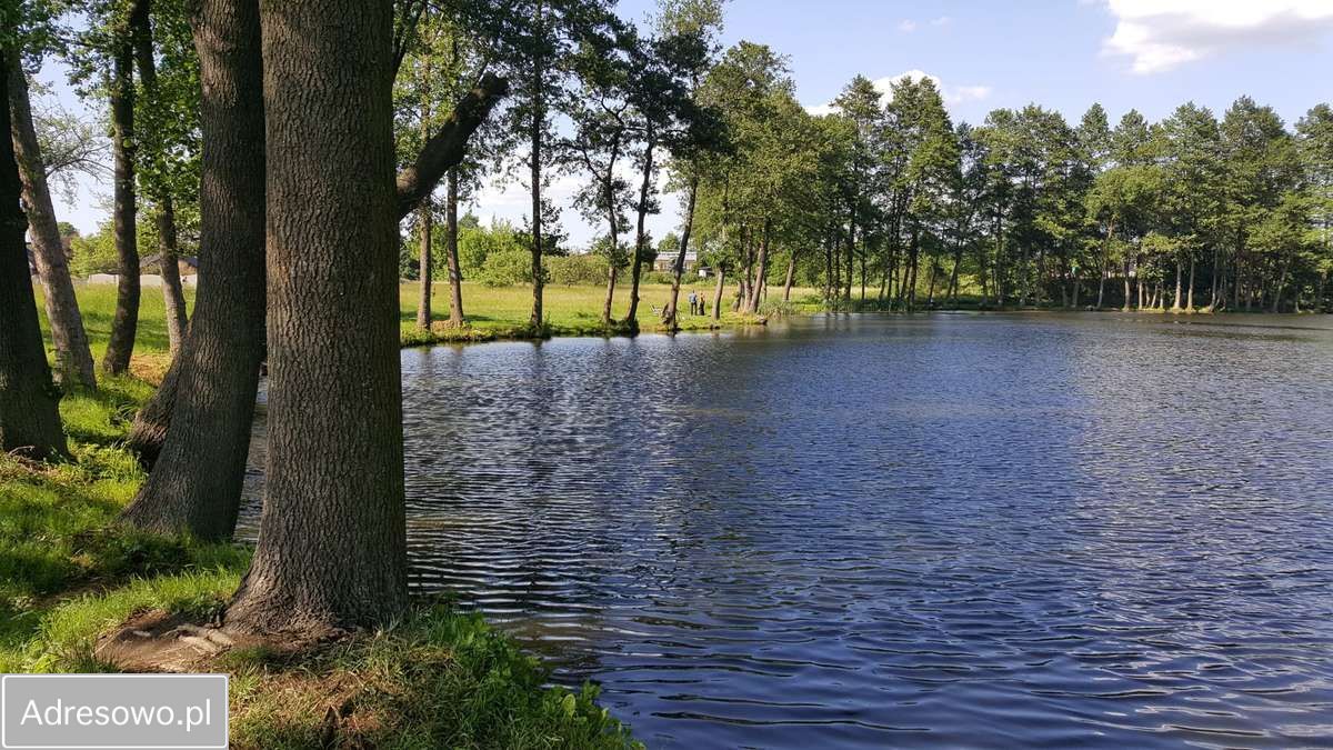 Działka inwestycyjna Żarki, ul. Koziegłowska. Zdjęcie 9