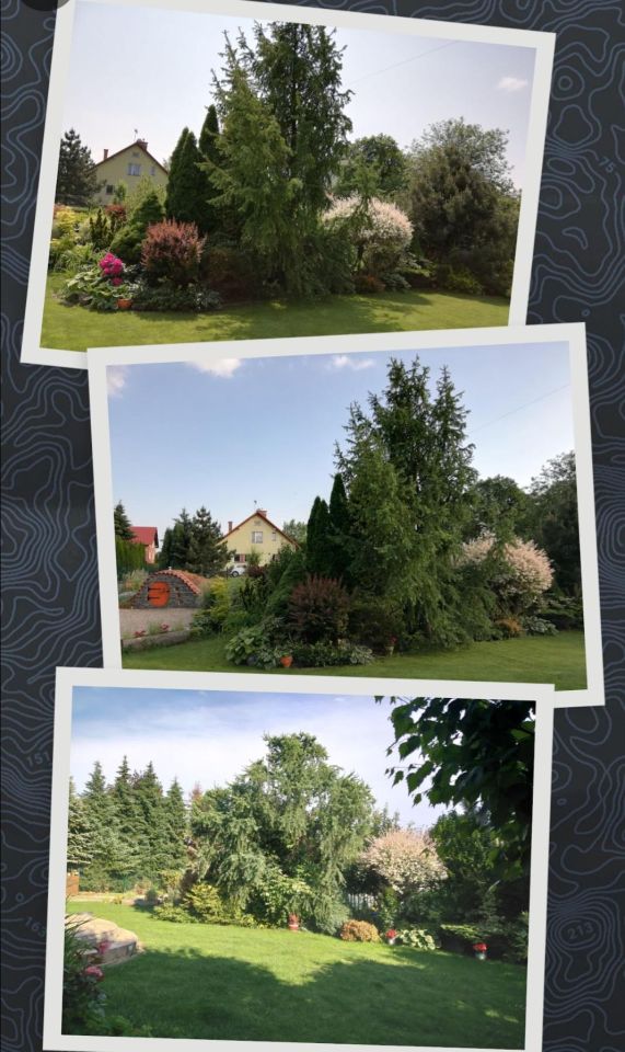 dom wolnostojący, 5 pokoi Jarosław, ul. Lucjana Siemieńskiego. Zdjęcie 14