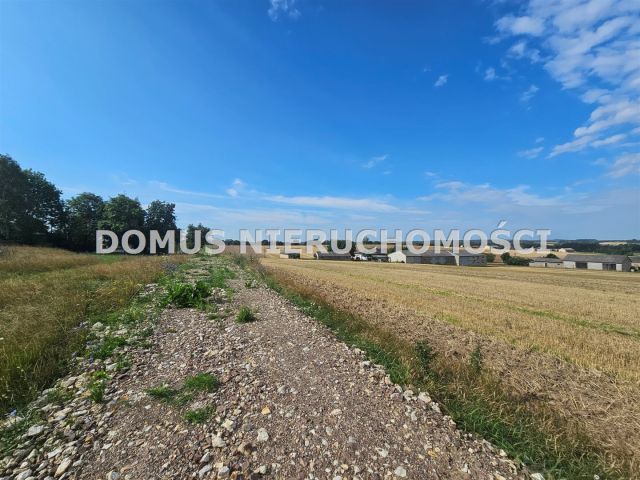 Działka rolna Jasień. Zdjęcie 2