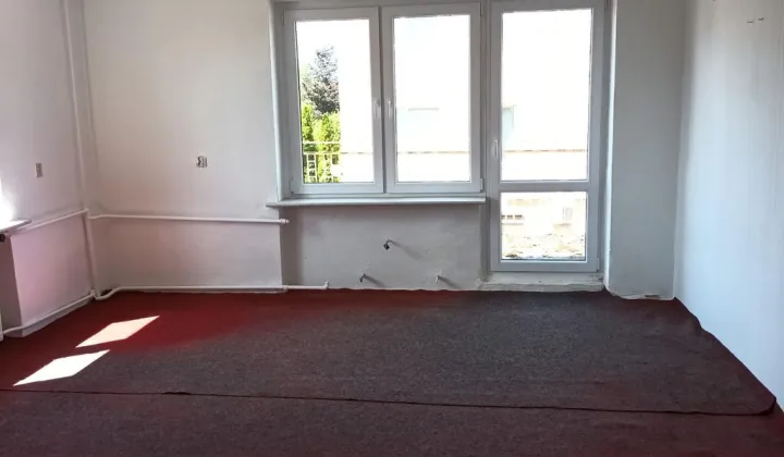 dom wolnostojący, 6 pokoi Zielona Góra Ochla