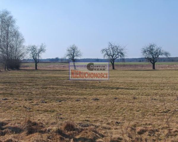 Działka budowlana Chlewiska. Zdjęcie 3