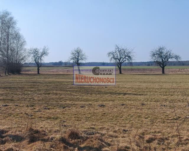 Działka budowlana Chlewiska. Zdjęcie 3