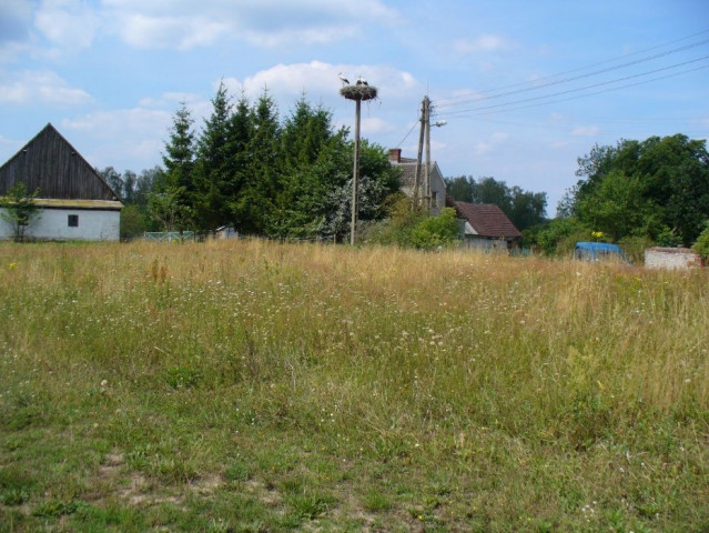 Działka rolno-budowlana Poczernin. Zdjęcie 1