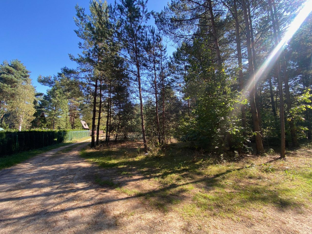 Działka rekreacyjna Żarki, ul. Czarka. Zdjęcie 5