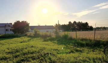 Działka budowlana Łódź Wiskitno, ul. Paprociowa