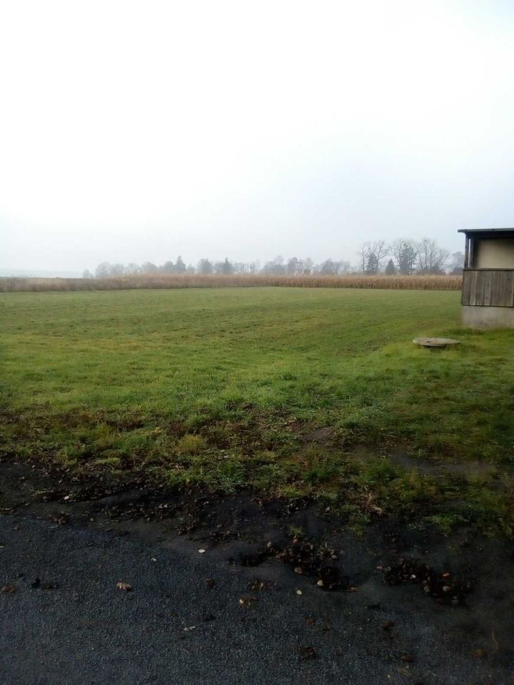 Działka inwestycyjna Blękwit. Zdjęcie 6