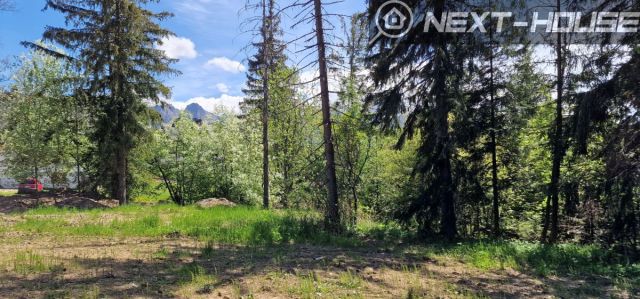 Działka inwestycyjna Kościelisko, ul. Nędzy Kubińca. Zdjęcie 7