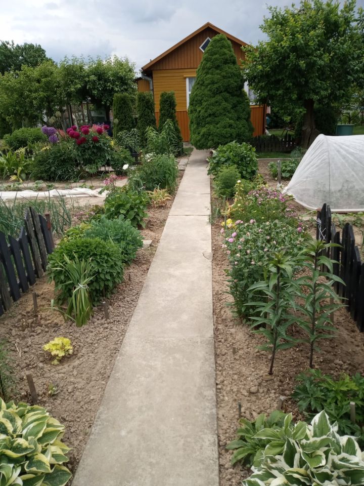 Działka rod Franciszków, ul. Szeroka. Zdjęcie 2