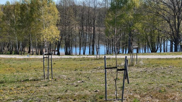 Działka budowlana Dziki. Zdjęcie 12