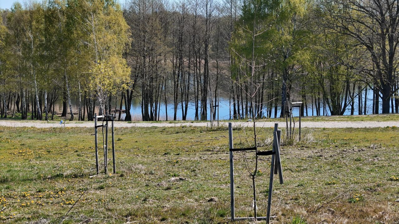 Działka budowlana Dziki. Zdjęcie 12