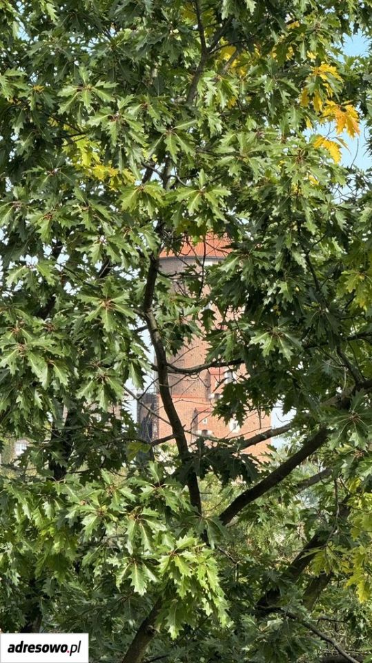 Mieszkanie 1-pokojowe Kraków Dębniki, ul. Kazimierza Pułaskiego. Zdjęcie 16