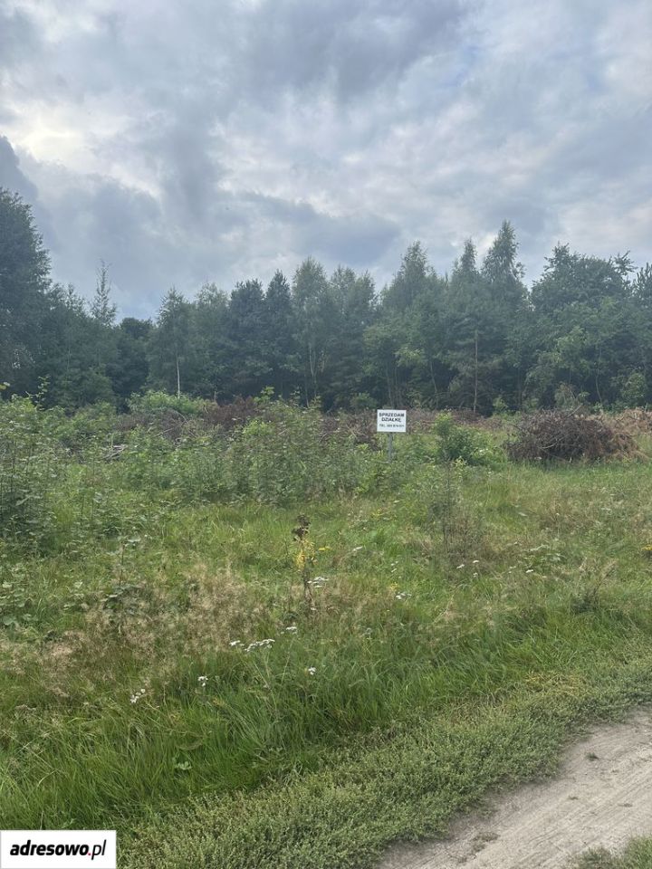 Działka budowlana Zielona Góra Ochla, ul. Ochla-Pustynna. Zdjęcie 6