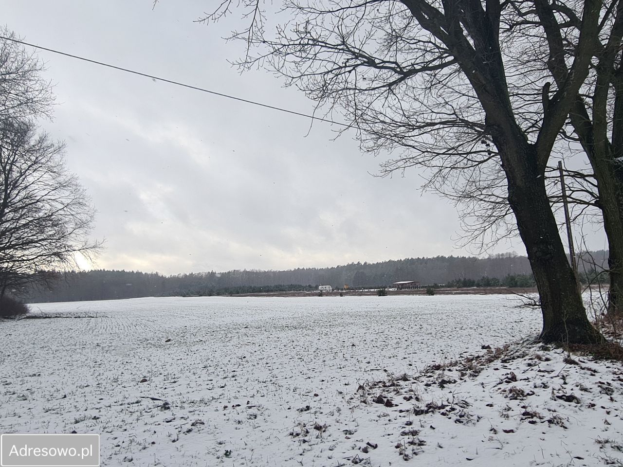 Działka rolna Glinno. Zdjęcie 4