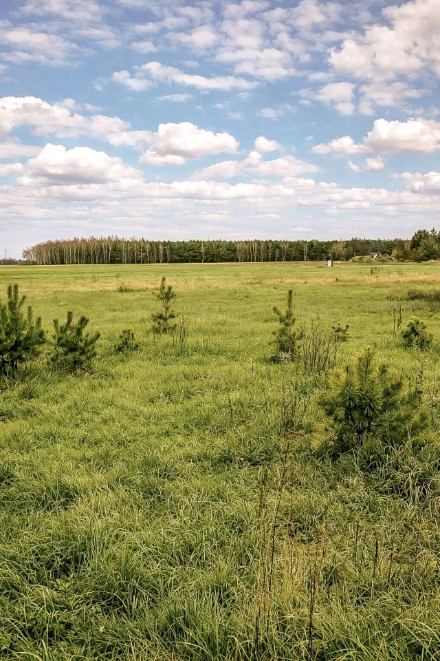 Działka budowlana Guty. Zdjęcie 3