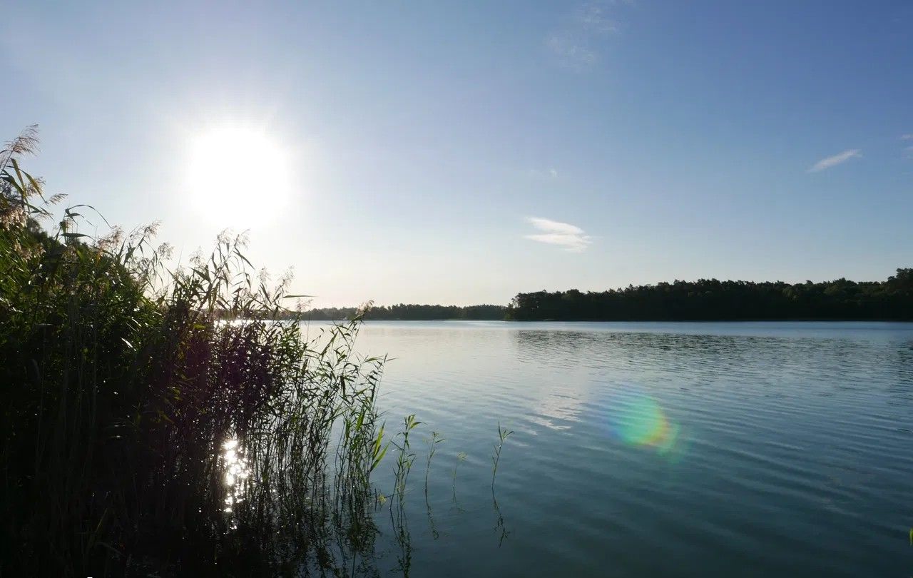Działka rolno-budowlana Gąsiorowo Olsztyneckie. Zdjęcie 2