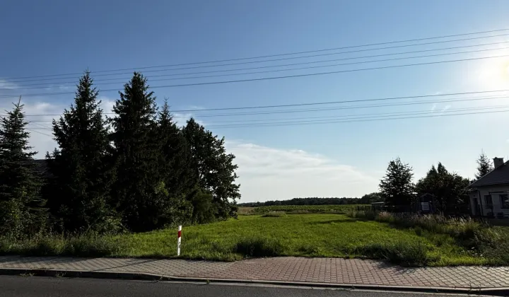 Działka budowlana Bolimów, ul. Skierniewicka