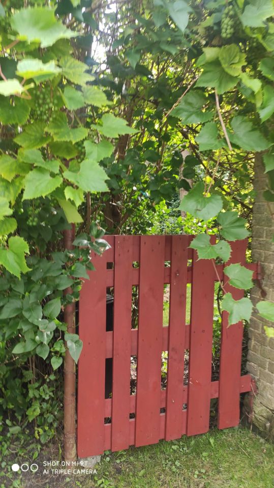 dom wolnostojący, 3 pokoje Trzebiatów. Zdjęcie 7